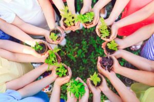 international leadership week: the importance of self connection for collaboration - children standing in a circle each holding their own tiny plant